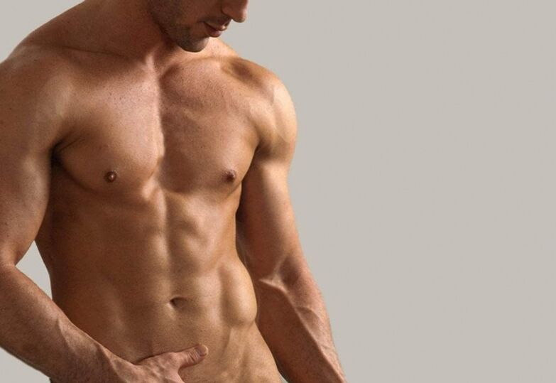 Torso masculino