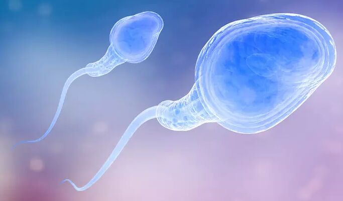 El esperma puede estar presente en el preeyaculado de un hombre